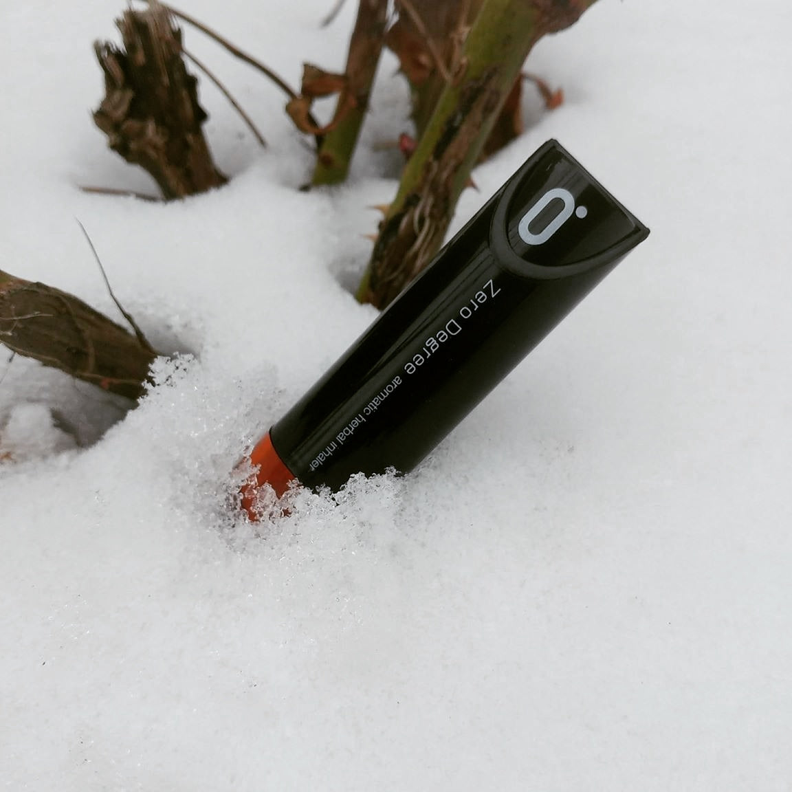 Toronto Winter Wonderland